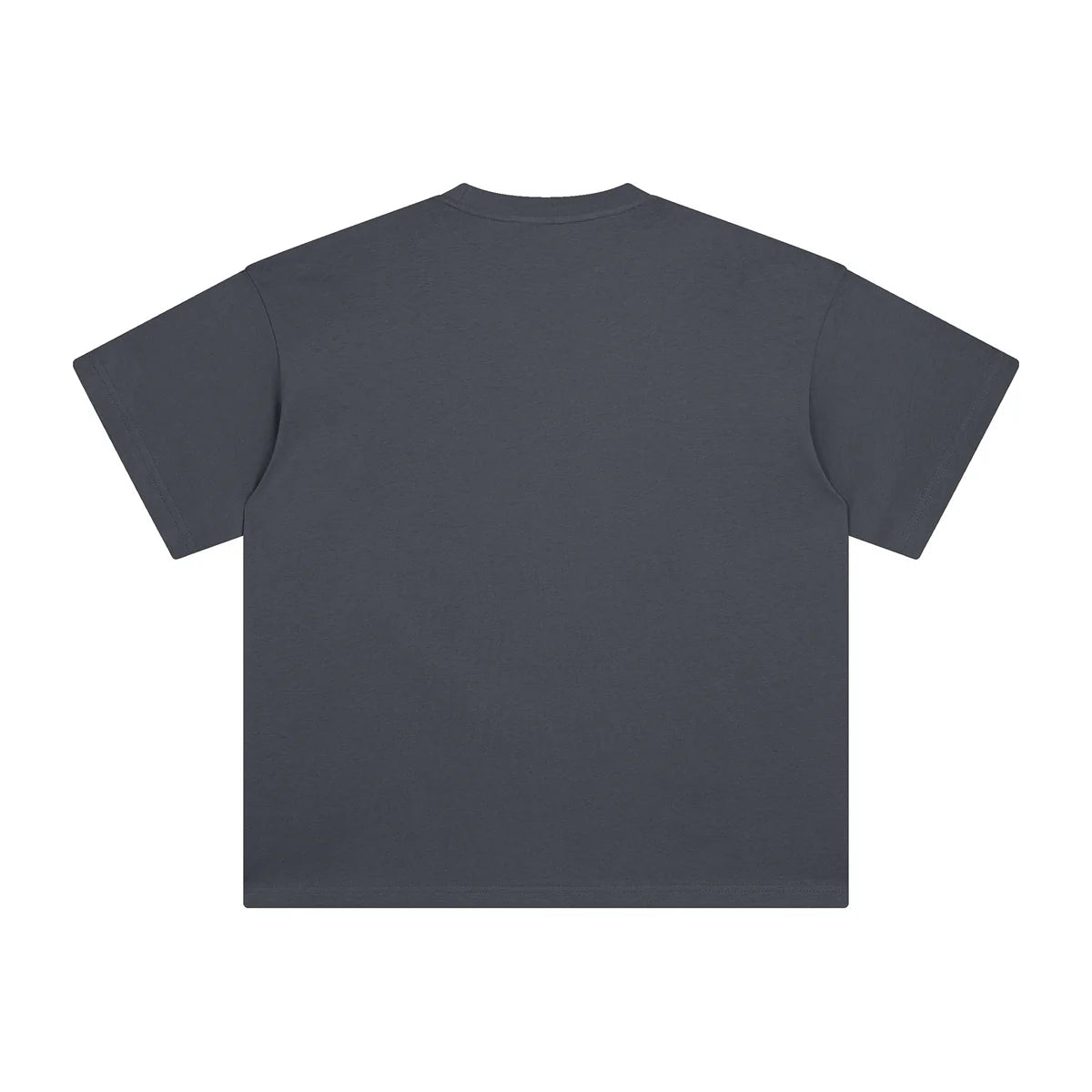 AVELURE EVERYDAY BOXY TEE